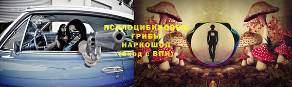 круглые Белокуриха