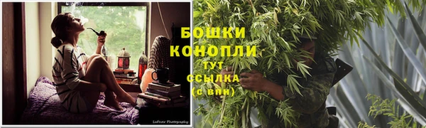 круглые Белокуриха